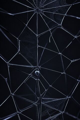 The Intricate Web of Na..