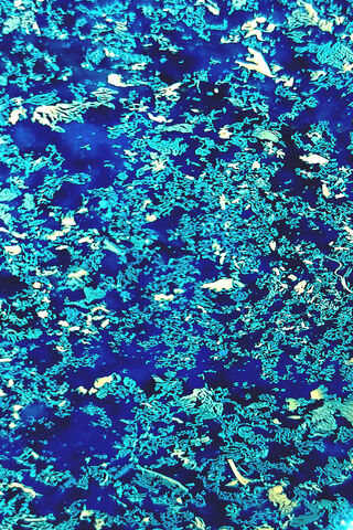 Oceanic Wonders 🌊✨