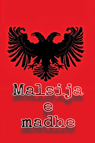 Majestic Eagle of Malsi..