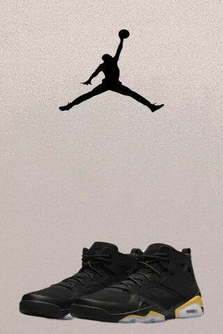 Air Jordan Flight Club