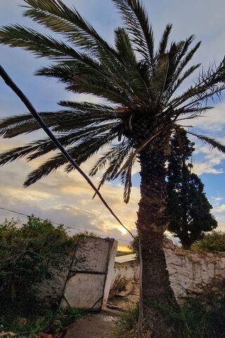 Sunset Serenity 🌅🌴