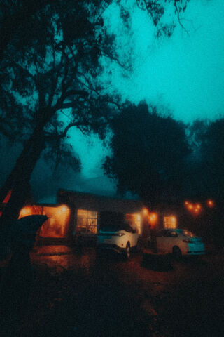 Aesthetic