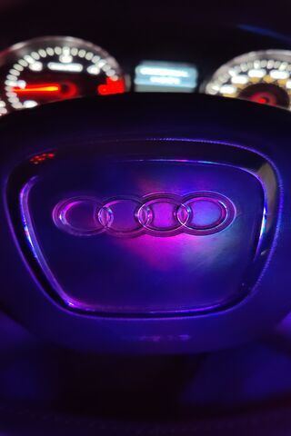 Audi Elegance in the Ni..