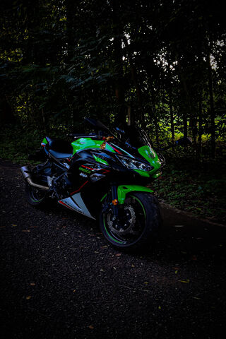 Biker With Wings