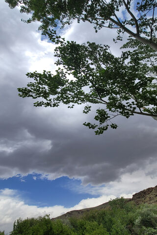 Beauty Of Nature