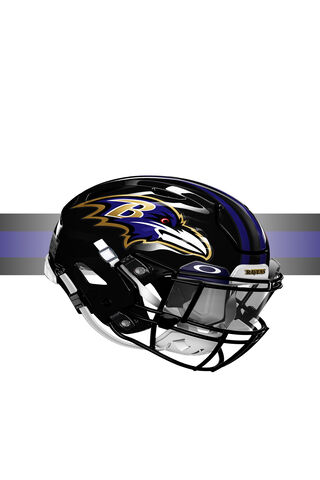 Ravens Pride 🏈
