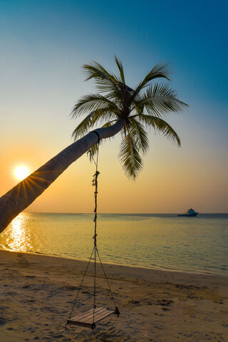 Sunset Serenity 🌅🌴