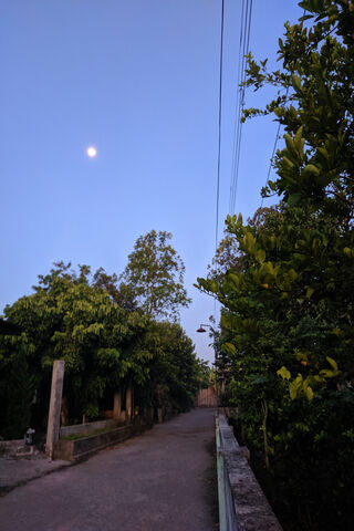 Blue Sky