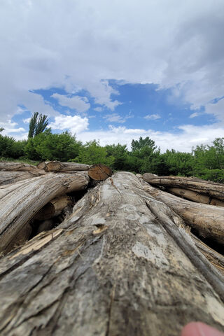 Tranquil Timber Trail �..