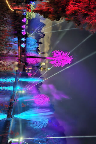 Enchanted Nightscape: A..