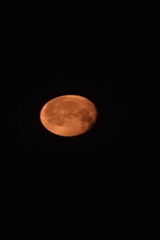 Enchanting Orange Moon ..