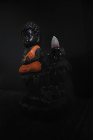 Serene Buddha Statue 🧘..