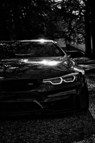 Sleek Shadows: The BMW ..