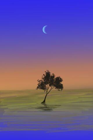 Blue Sunset Tree