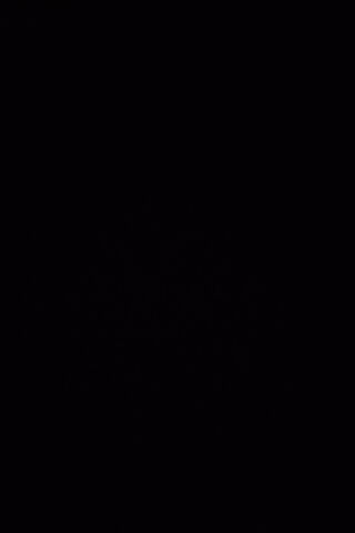 The Mystery of the Blac..
