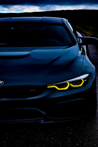 Nighttime Elegance: The..