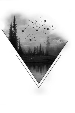 Cosmic Wilderness 🌌🌲