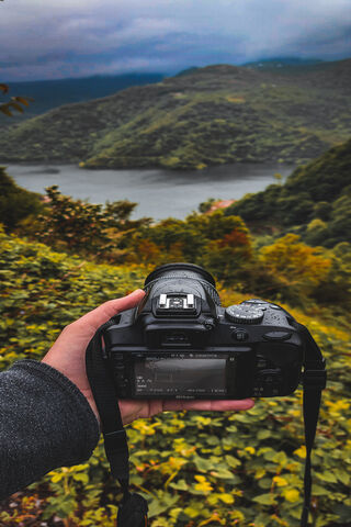 Capturing Nature's Pale..