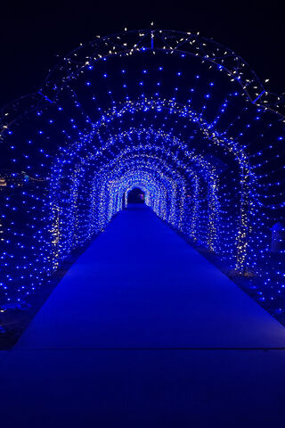 Magical Blue Light Tunn..