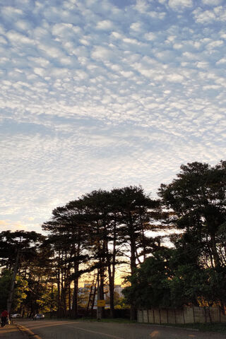 Serene Sunset Sky 🌅