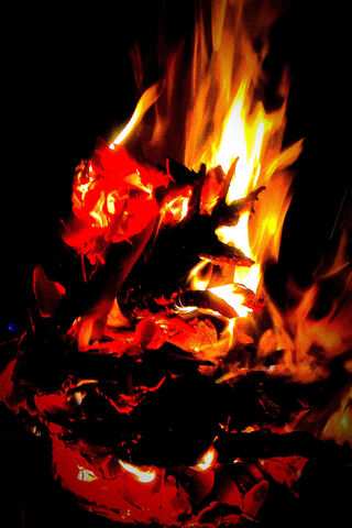 Cold Fire