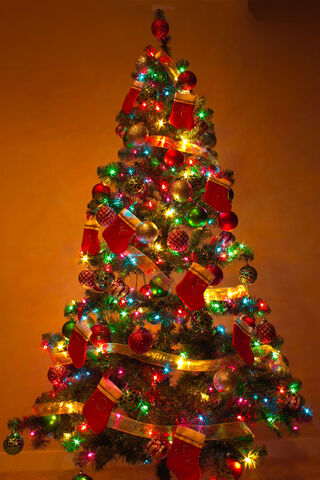 Festive Glow: A Christm..