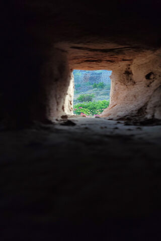Glimpse of Nature: The ..