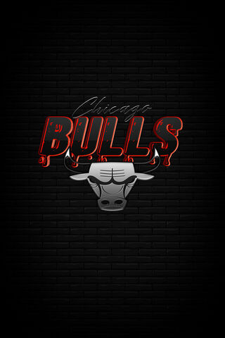 Chicago Bulls