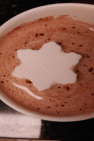 Cocoa Snowflake Delight ❄️☕