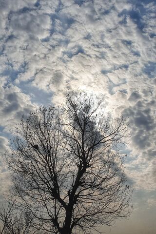 Cloudy Weather