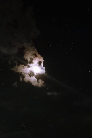 Enigmatic Moonlit Night 🌙✨