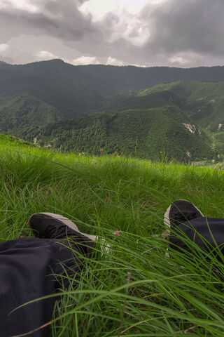 Serenity in Nature 🌿🏞️