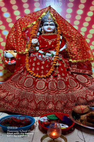 Divine Elegance: A Fest..