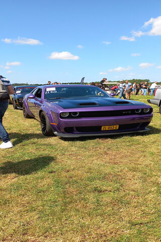 Purple Power: The Chall..
