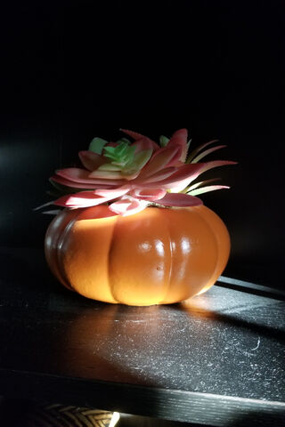 Autumn Charm: Pumpkin P..
