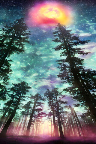 Dreamy Night Sky