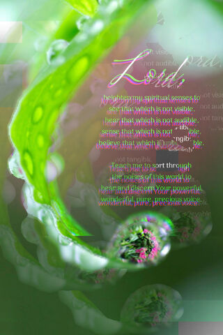 Awakening the Inner Vis..