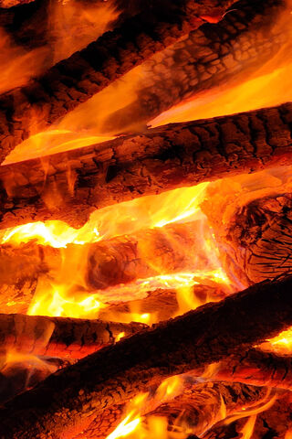 Embers of Warmth: The Heart of the Fire Pit 🔥