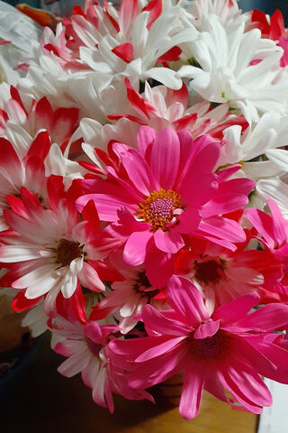 Vibrant Floral Delight ..