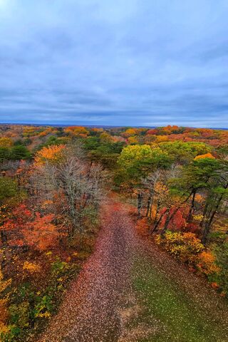 Autumn's Embrace 🍂🌳