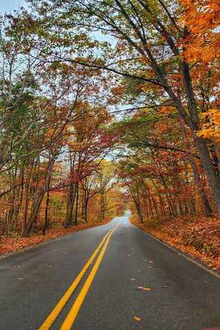 Autumn Serenity on a Co..