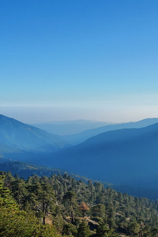 Foggy Mountain Morning