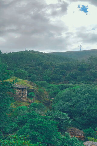 Whispers of Nature: The Enigmatic Florest House 🌲🏡