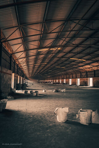 Echoes of Industry: The..