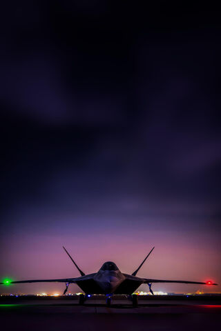 Nighttime Majesty: The ..