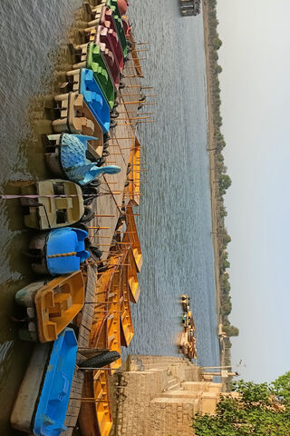 Colorful Boats by the R..