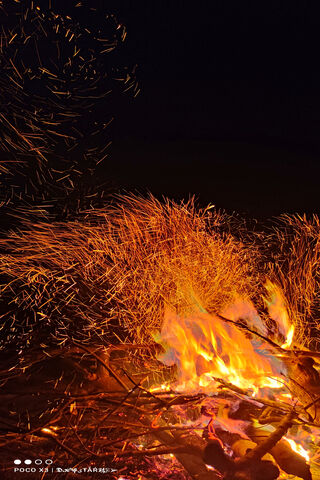 Holika