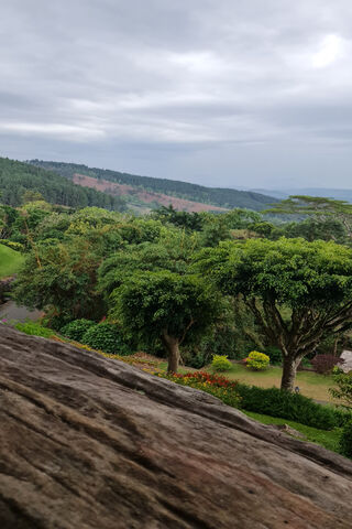 Serene Landscape View 🌳🌄