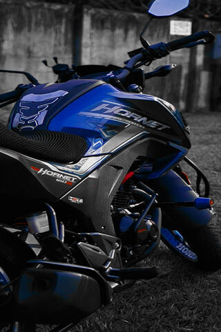 Sleek and Stylish: The Hornet 🏍️✨