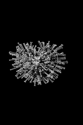 Heart of the Virus: A C..